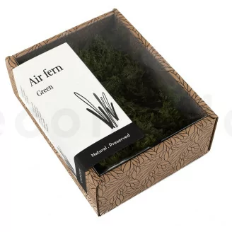 Air Fern stabilizzato Nature Green (Creabox S)