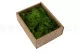 Air Fern stabilizzato Light Green (Creabox S) 5