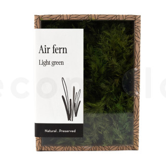 Air Fern Stabilis&eacute;e - Creabox S - Light Green 