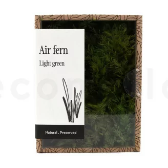 Air Fern stabilizzato Light Green (Creabox S)