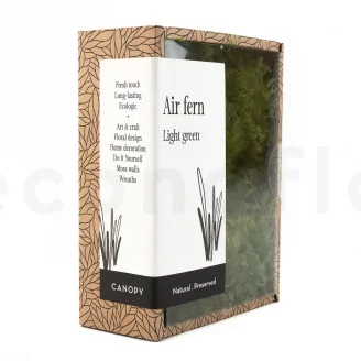 Preserved Air Fern Light Green (Creabox S)