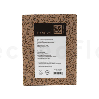 Air Fern Stabilis&eacute;e - Creabox - Light Green 