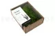 Air Fern stabilis&eacute;e Light Green (Creabox S) 4