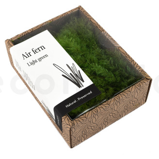 Air Fern Stabilis&eacute;e - Creabox - Light Green 