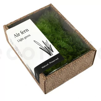 Preserved Air Fern Light Green (Creabox S)