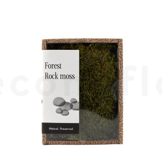 Mousse de Roche Stabilis&eacute;e - Creabox - Vert 