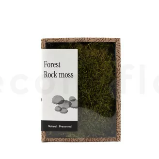 Mousse de Roche stabilis&eacute;e (Creabox S)