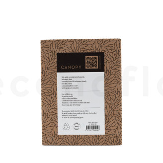 Muschio di roccia preservato - Creabox - Verde