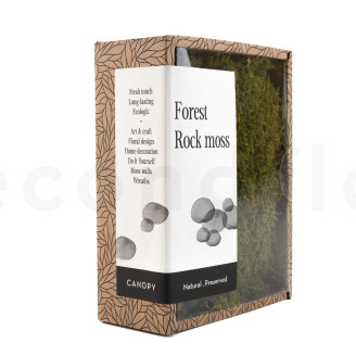 Muschio di roccia stabilizzato - Creabox S - Verde
