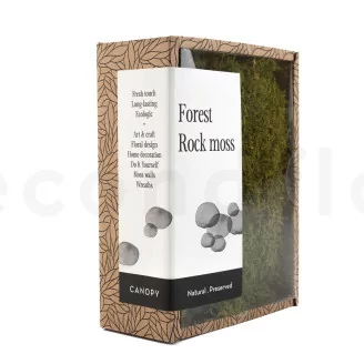 Preserved Rock Moss (Creabox S)