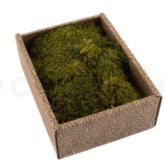 Mousse de Roche Stabilis&eacute;e - Creabox - Vert 