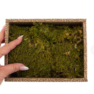 Mousse de Roche Stabilis&eacute;e - Creabox - Vert 