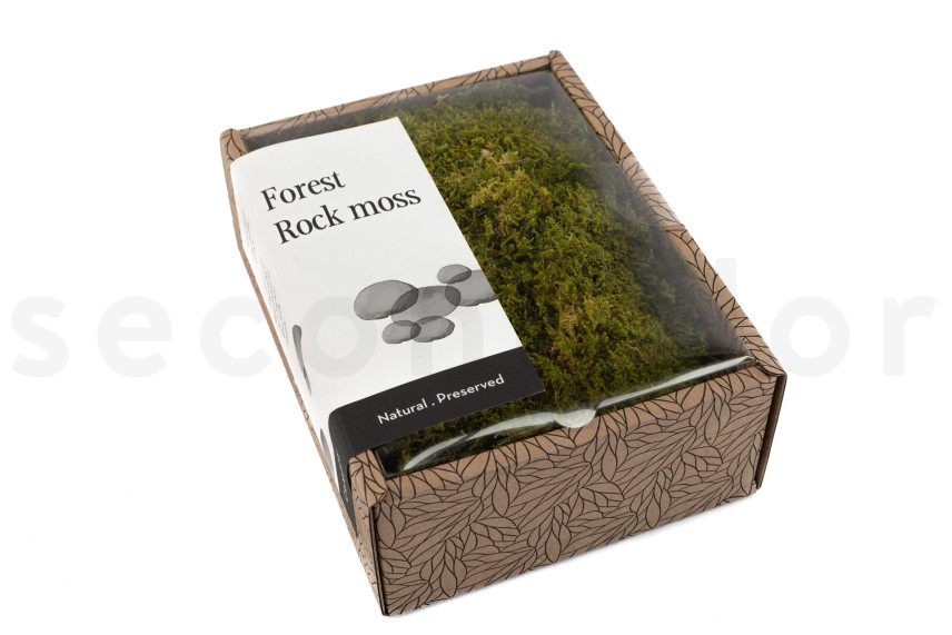 Mousse de Roche Stabilis&eacute;e - Creabox - Vert 