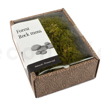 Muschio di roccia stabilizzato - Creabox S - Verde