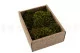 Hair Moss preservado (Creabox S) 4