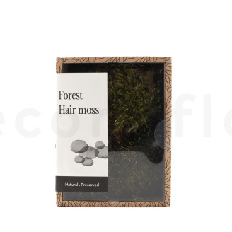 Hair Moss Pr&eacute;serv&eacute;e - Creabox S - Light Green