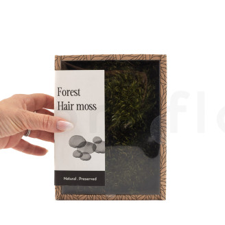 Hair Moss Pr&eacute;serv&eacute;e - Creabox S - Light Green