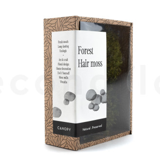 Hair Moss Pr&eacute;serv&eacute;e - Creabox S - Light Green