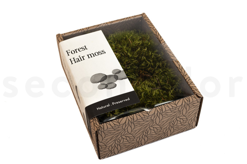 Hair Moss Préservée - Creabox - Light Green
