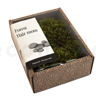Hair Moss Pr&eacute;serv&eacute;e - Creabox S - Light Green