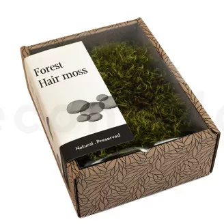Konserviertes Hair Moss (Creabox S)