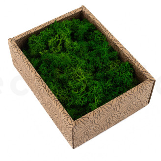 Lichen Préservé - Creabox - Nature Green
