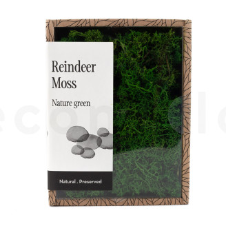 Lichen Préservé - Creabox - Nature Green