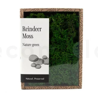Lichen stabilis&eacute; Nature Green (Creabox S)