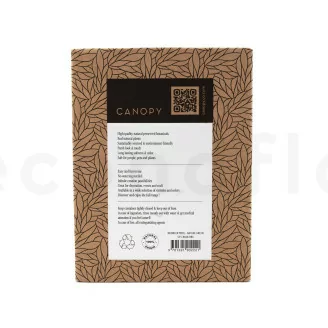 Lichene stabilizzato Nature Green (Creabox S)