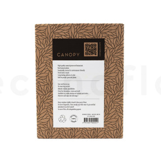 Preserved Reindeer Moss - Creabox - Nature Green
