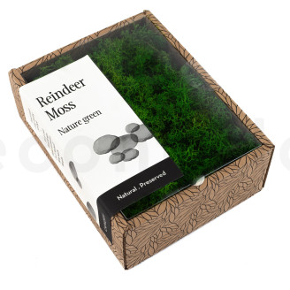 Lichen Préservé - Creabox - Nature Green