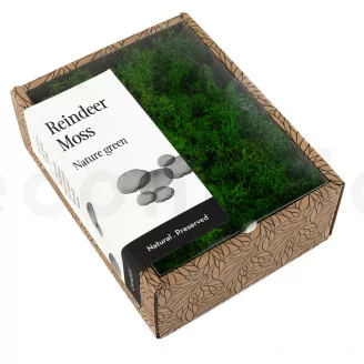 Lichen stabilis&eacute; Nature Green (Creabox S)