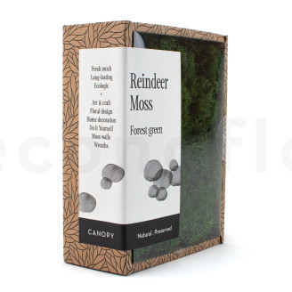 Islandmoos konserviert - Creabox - Forest Green