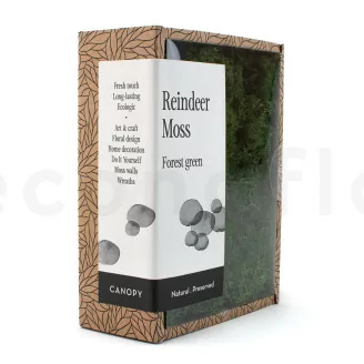 Lichen stabilis&eacute; Forest Green (Creabox S)
