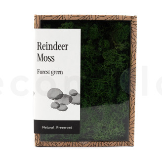 Preserved Reindeer Moss - Creabox - Forest Green