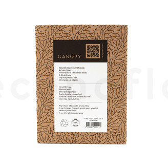 Lichene stabilizzato - Creabox - Forest Green