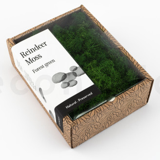 Preserved Reindeer Moss - Creabox - Forest Green