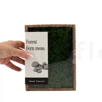 Mousse Foug&egrave;re stabilis&eacute;e (Creabox S)