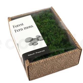 Preserved Fern Moss (Creabox S)