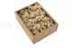 Preserved Reindeer Moss Cream (Creabox S) 4
