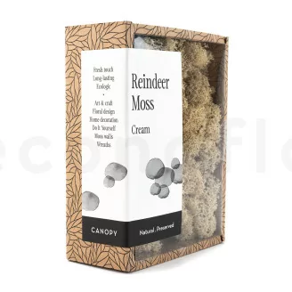 Lichen stabilis&eacute; Cr&egrave;me (Creabox S)