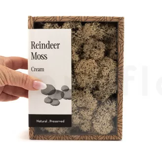 Lichen stabilis&eacute; Cr&egrave;me (Creabox S)