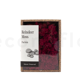 Preserved Reindeer Moss - Creabox - Fuchsia