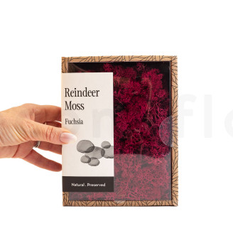 Lichen Préservé - Creabox - Fuchsia