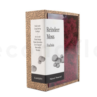 Lichen Préservé - Creabox - Fuchsia