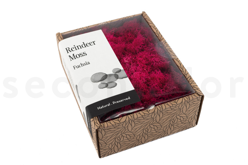 Lichen Préservé - Creabox - Fuchsia