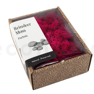 Lichen Préservé - Creabox - Fuchsia
