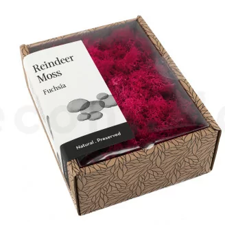 Preserved Reindeer Moss Fuchsia (Creabox S)