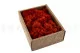 Preserved Reindeer Moss Orange (Creabox S) 4