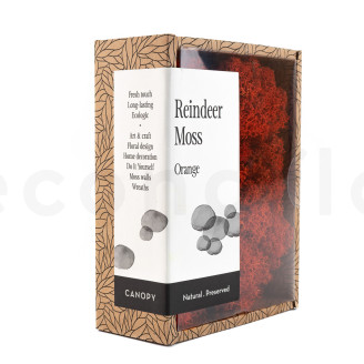 Lichen Préservé - Creabox - Orange